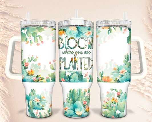 40oz Bloom where you are Planted